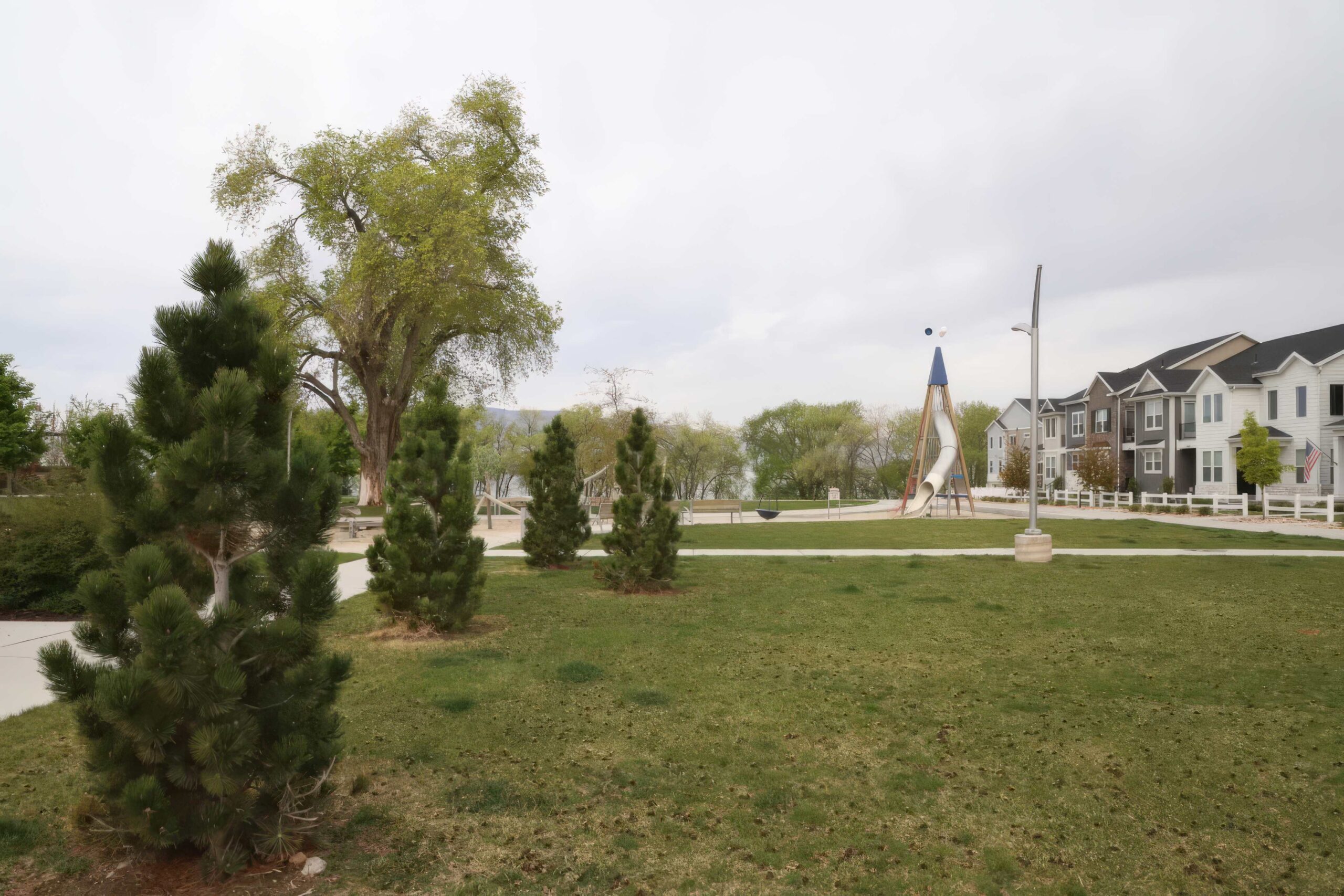 Vineyard Neighborhood